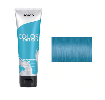 JOICO COLOR INTENSITY AMETHYST 4 OZ