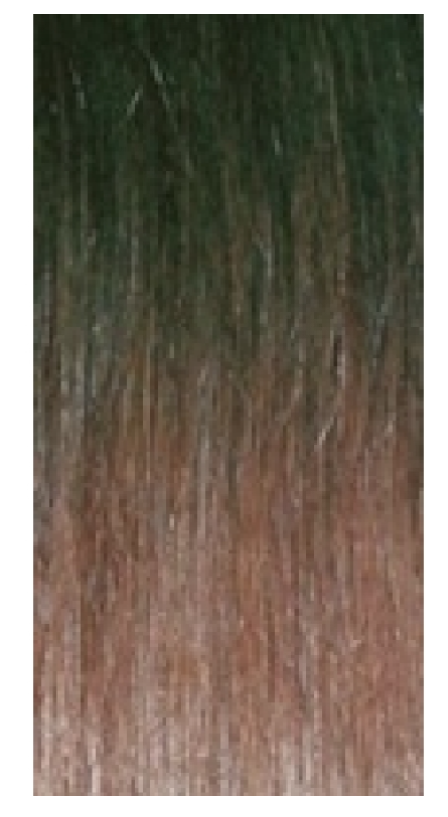 HAIRSENSE - 100% HUMAN HAIR FULL LACE - HH-866 WIG